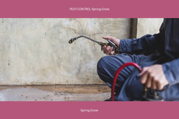PEST CONTROL Spring Grove